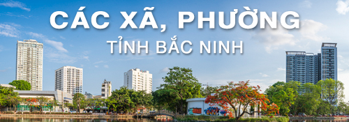 Banner-99-xa-phong-tinh-bac-ninh.jpg